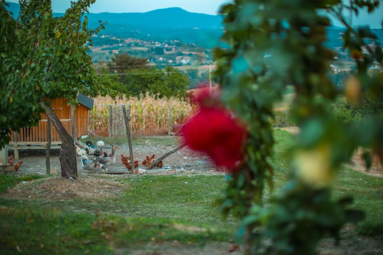 Seosko Turisticko Domacinstvo Radivojevic Vila Čačak Exterior foto