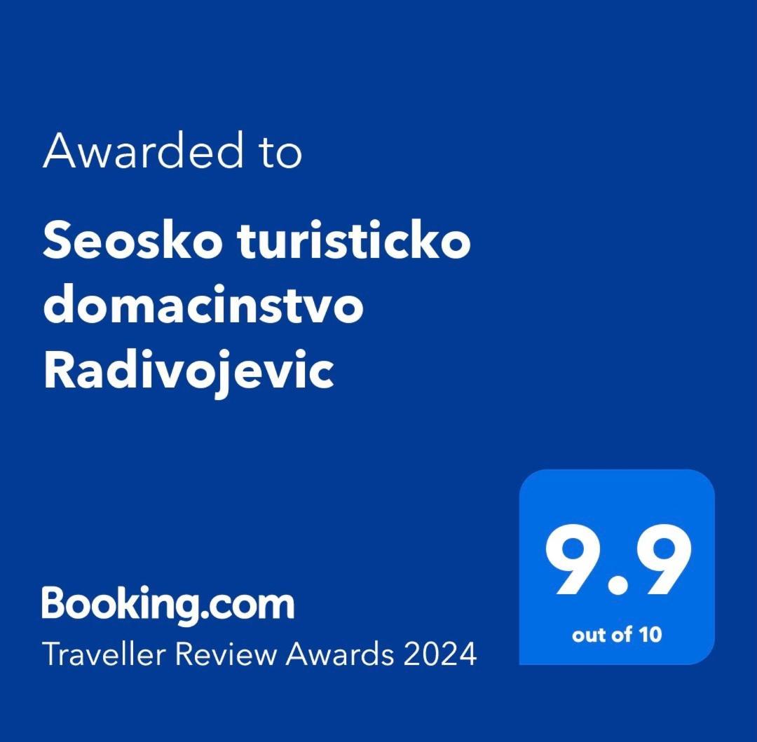 Seosko Turisticko Domacinstvo Radivojevic Vila Čačak Exterior foto